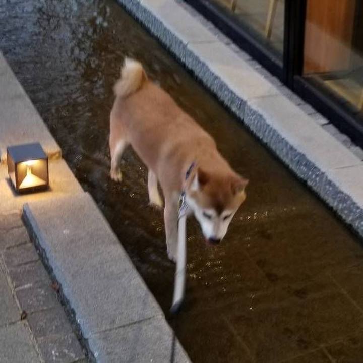 459f7d6a 001c 4eb6 b4bc 2c04e6d0e9a5 1565860929003