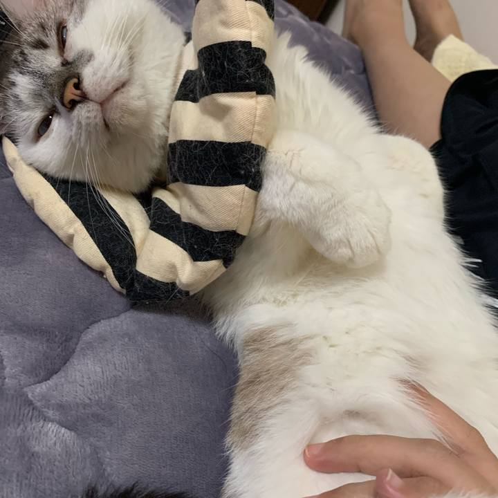 459f8845 649d 4116 9963 741c4b64e3e6 1632748970804