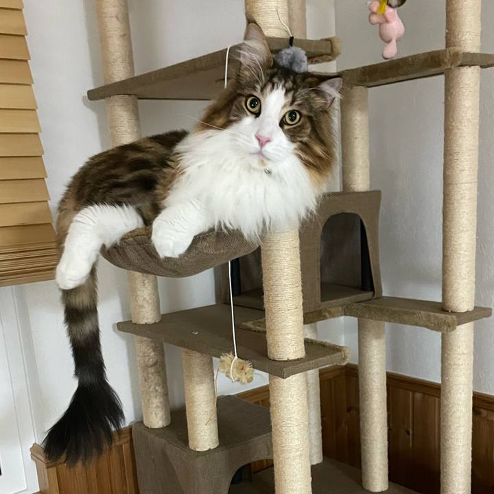 459ffd38 7fe4 4e82 ab6a f2b78abc79fb 1663876942968