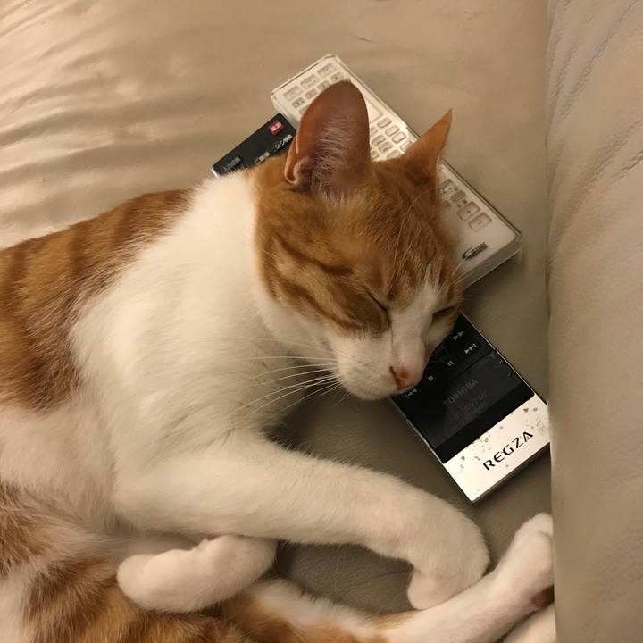 45a00846 8445 4fdd 8854 ec0d3e1a2aa6 1566038328371