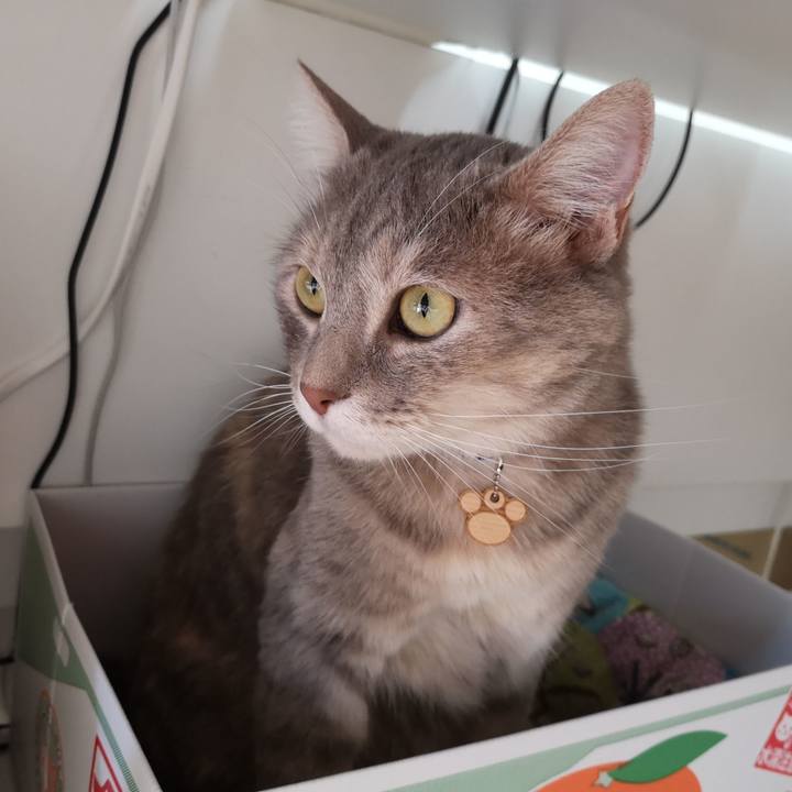 45a00ce6 cfdd 444b baa3 bc4f4d896abb 1562297241110