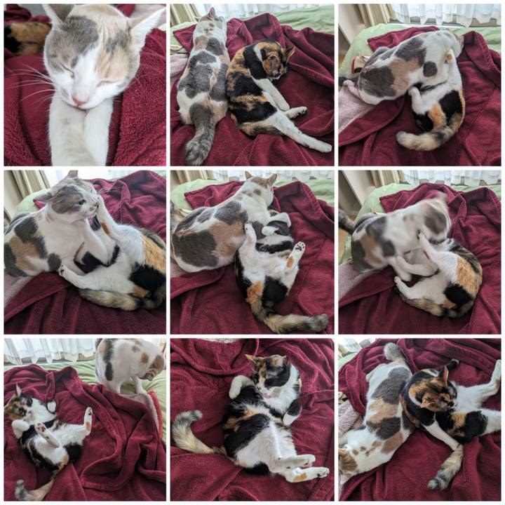 45a0556f 8ff0 4077 b15c 85304eab6ce2 1701415840971