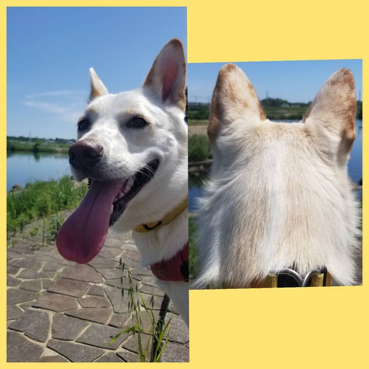 45a08291 ba96 4cb0 bb59 50d25217ce05 1589727094692