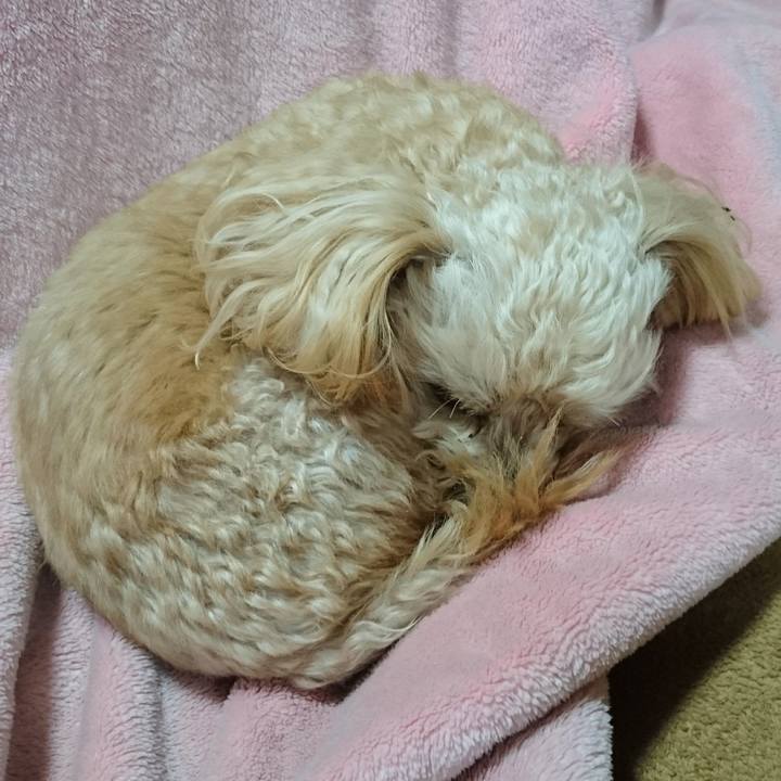 45a09003 c9f7 4d0d 8e35 99d0513b434b 1512291774141