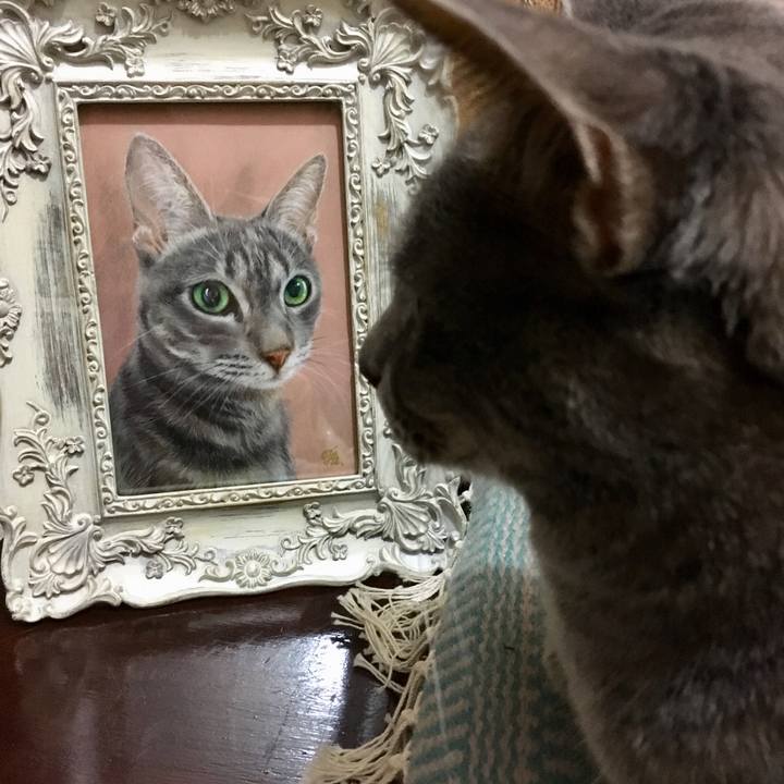 45a0a9d5 f946 4a70 b42e f0898c4df6cb 1568294900115