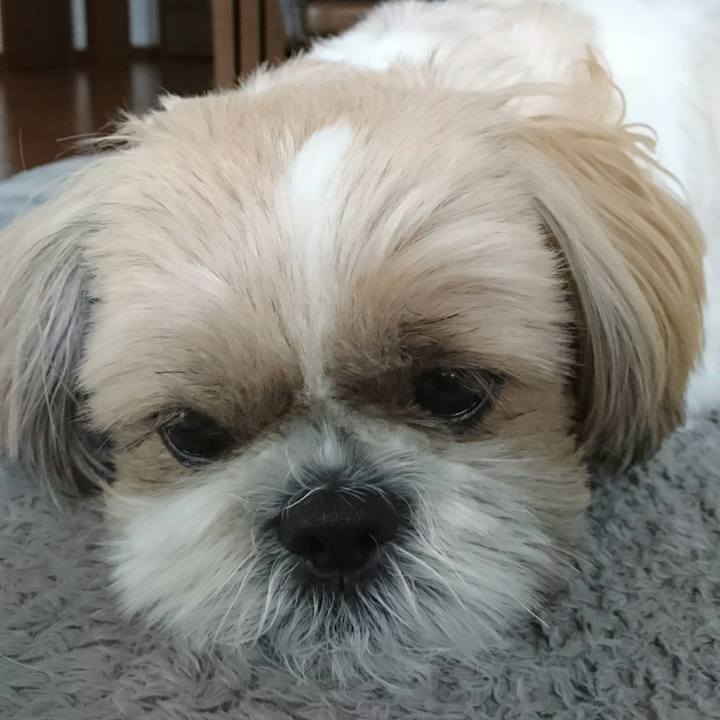 45a0c990 e9d9 4f47 b6aa 570c6ddbc333 1555287744258