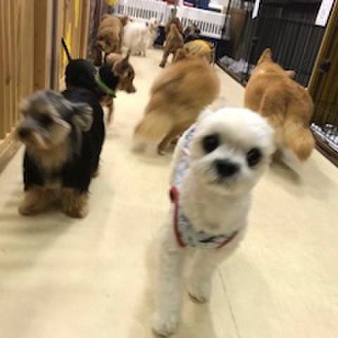 45a0f11b beec 4d74 aecb 9cc24bcb0660 1508929375259