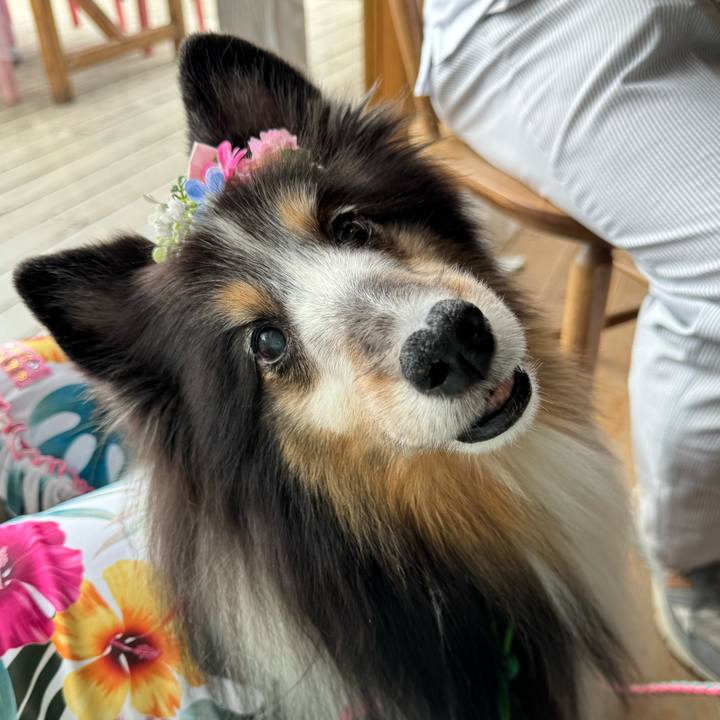 45a160d8 ea0e 432a 98b9 da4426c3acc4 1758457926432