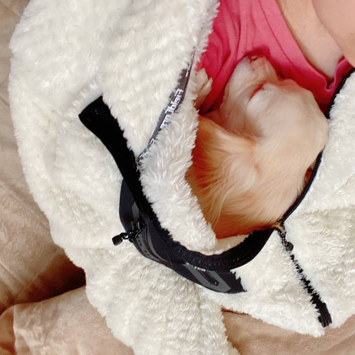 45a1621b 3ed8 4d64 ad9d 4a7aa400fbaf 1642219888371