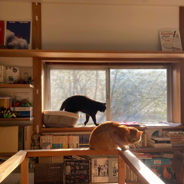 45a17931 da53 4f23 ba49 2a28e7b1aee9 1615072650050