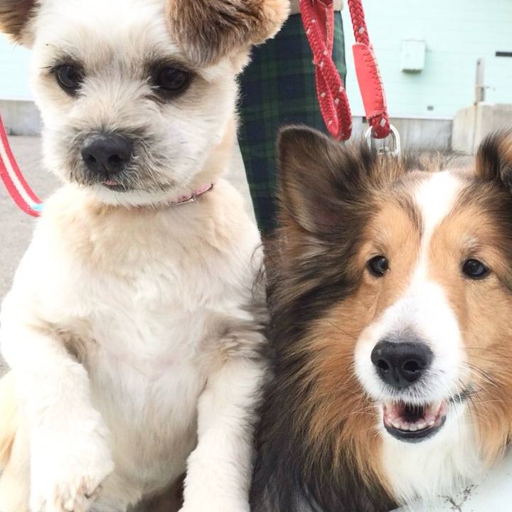 45a19ba2 f15c 4817 82d2 0e5a5395673b 1716113129876