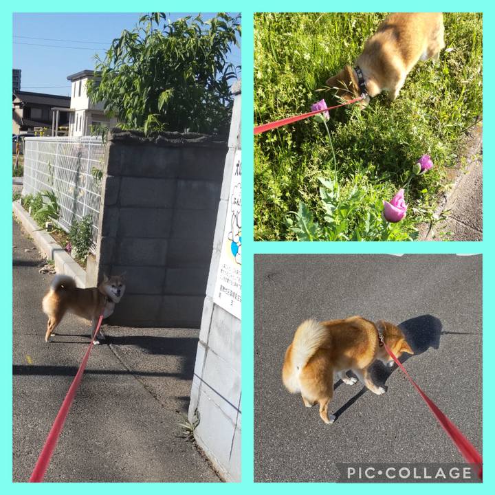 45a1a46d ad5f 438b b103 08a1579efb7a 1746172823886