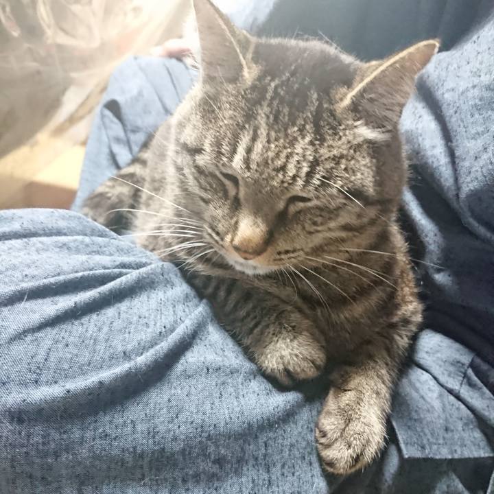 45a1aec4 0123 4475 b94d 8db8719ffa2b 1654502704012