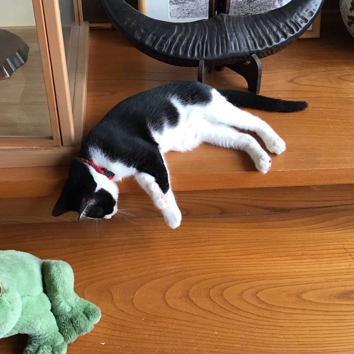 45a1af62 a9a0 4dd2 bda2 f0495029a939 1627779663081