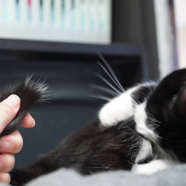 45a1de4e 04a9 4e09 b76c 95ed8881a886 1577145198941