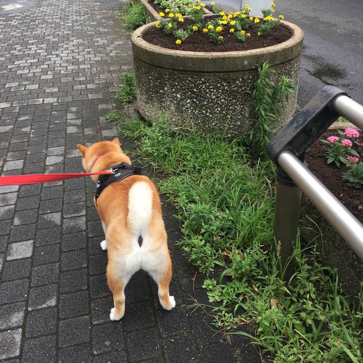 45a1ef93 ba2e 487a 8bbe 9b451440269d 1594260936895