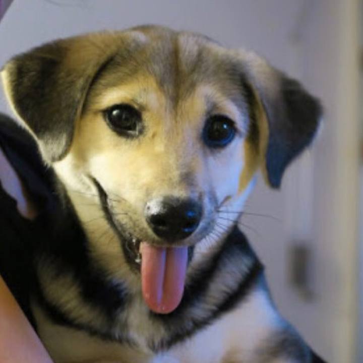 45a1fb31 87b1 413e bc26 c79320266df5 1600406365931