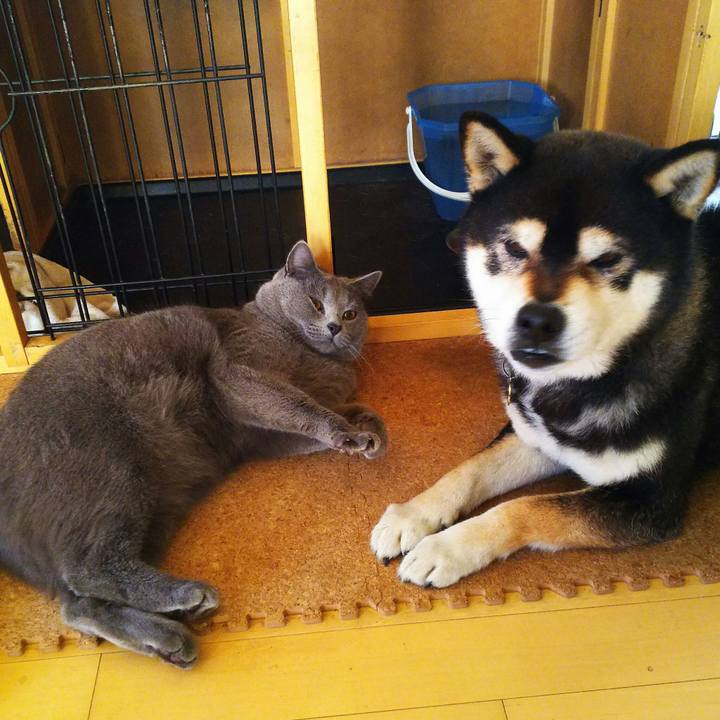 45a20931 ce77 4dfb b510 397efe59fe86 1515483202754