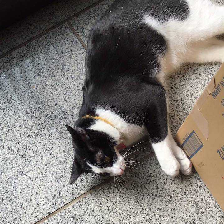 45a21d45 c016 46c2 a4ad cfb366d43f14 1647484290488