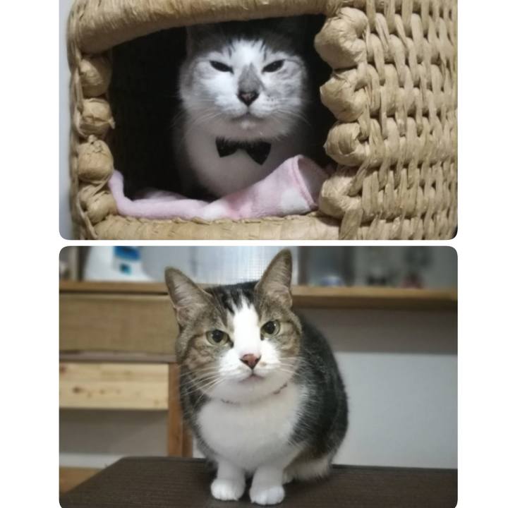 45a2362b 4920 46ab 8cbd bb36ab34030b 1539940288192