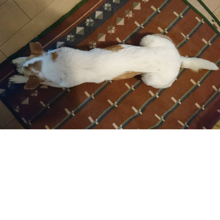 45a23b38 142a 4c71 9733 6a500f64014e 1522317075627