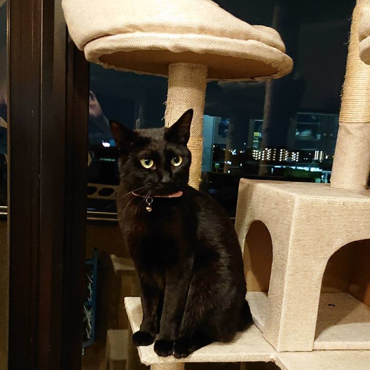 45a26cb3 a3ce 42c2 9ef1 e28450130af3 1555544767658