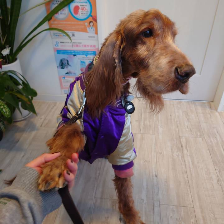 45a27d83 ac52 4be0 8e69 7d6cdb626998 1706951379324