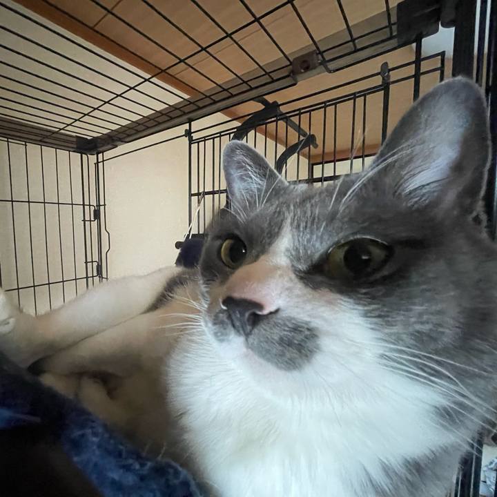 45a28e55 9760 45be 9cb0 ebc84c921e35 1676687725377