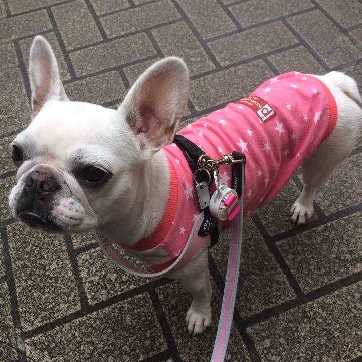 45a294f4 e4bc 48e5 bd65 439832004b11 1508053558820