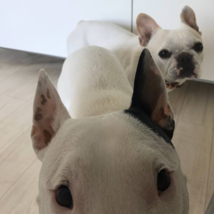 45a2aebf d9c4 4749 a296 31f10ae9af75 1518665239707