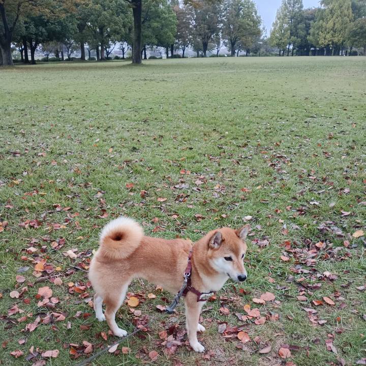 45a2b616 5695 42b9 8c38 6b2cf612e9bc 1761456846261