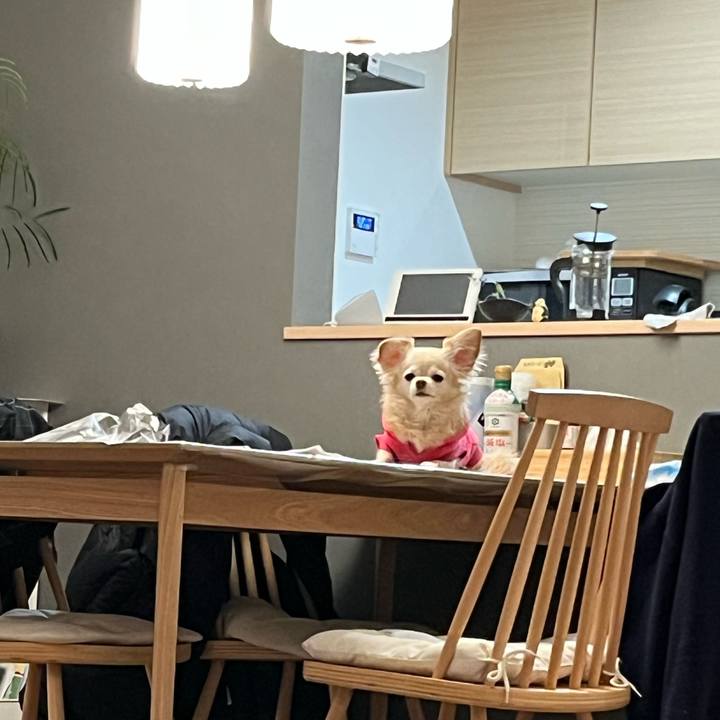 45a30b96 b985 40b9 8285 7b4cd2b170cf 1765282281063