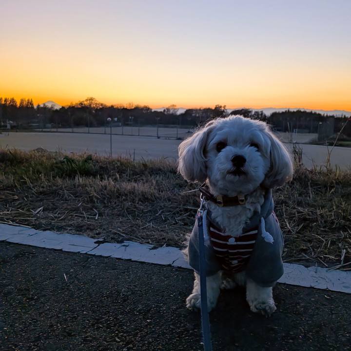 45a3508e 6a18 4dc6 a1a6 ea4673a5ea92 1765099213636