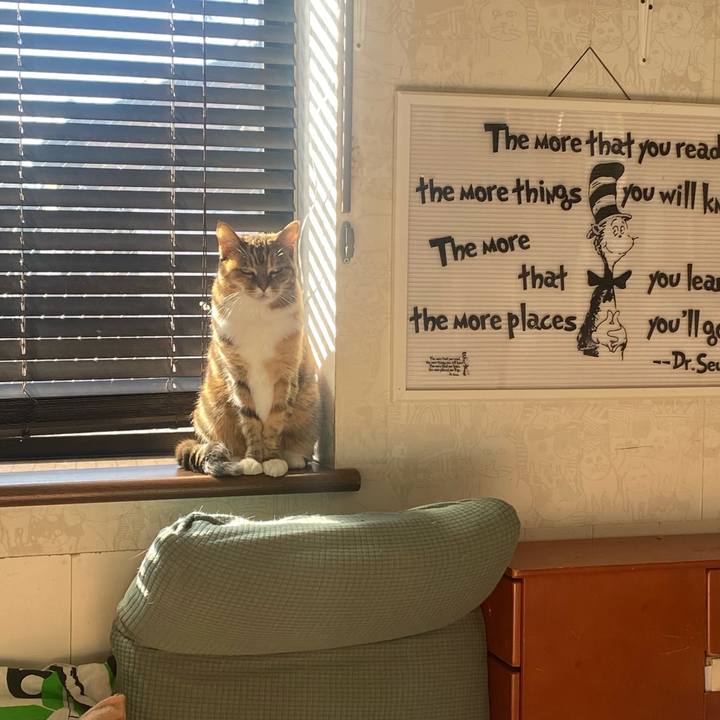 45a3b910 f967 4eb9 abc3 8c7df8e0531d 1671845225864