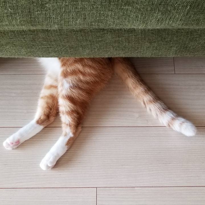 45a3dee9 d3df 4e90 9785 04be4727f30c 1540356656484