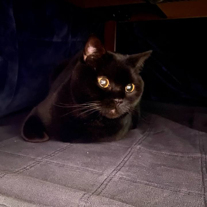 45a3f1ec 6380 4b61 855f 00ae008ef4ce 1737458768306