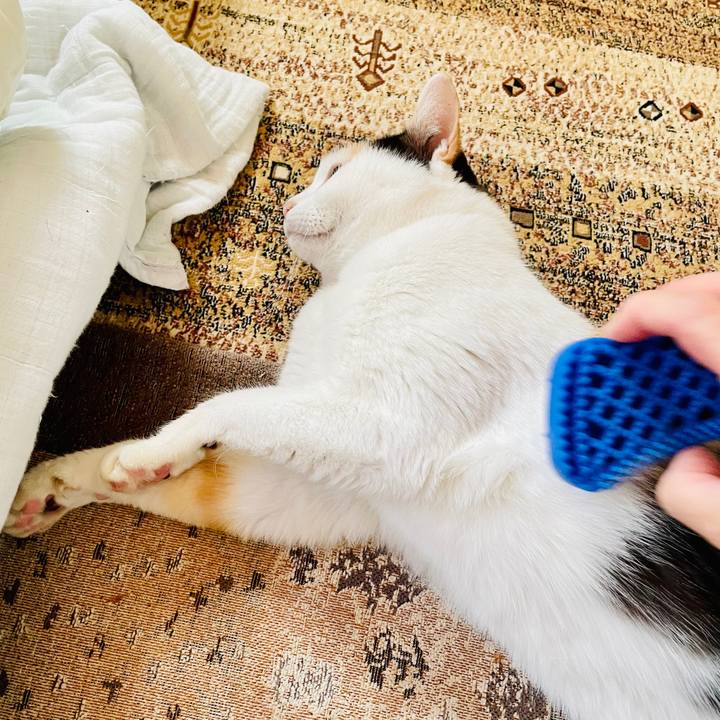 45a3f73b 32a9 40a0 82e8 014b08da6c34 1607827021120