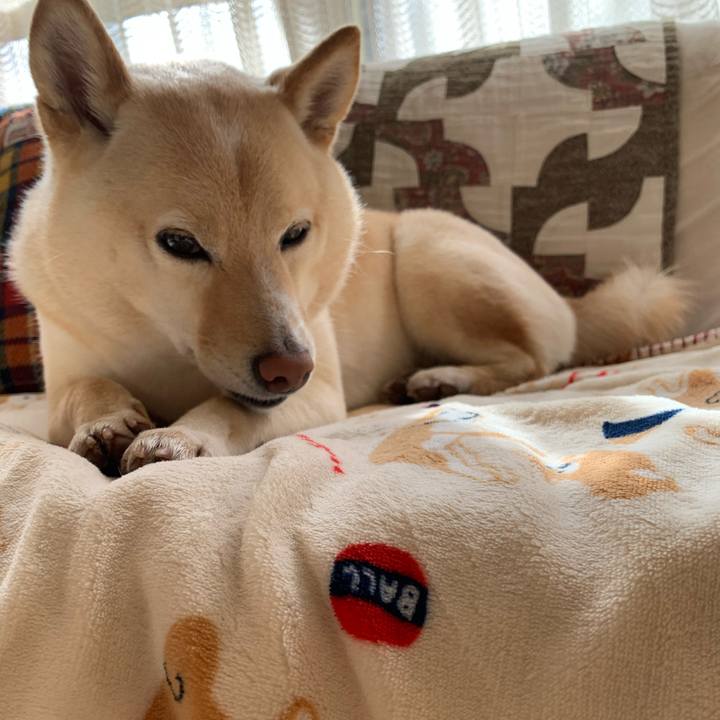 45a41751 ac92 458d b7b5 5dcb133c09aa 1615943602890