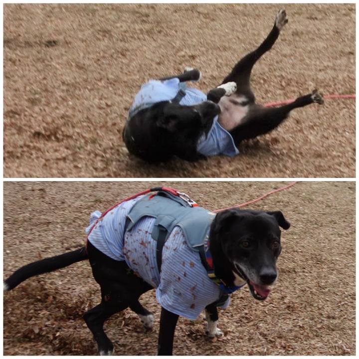 45a42274 10cb 4829 8926 131c2d6bdacf 1707098163300