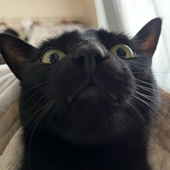 45a445be 62d2 4fd4 98e1 3a6c5c06a52b 1681609079948