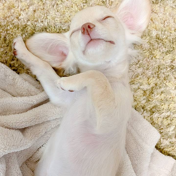 45a46d73 8d66 4721 99e9 201862fd28fe 1592724366970