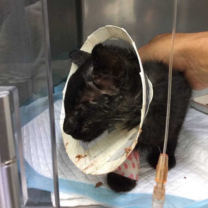 45a4d7c7 8d67 4335 9acb 5a5b0e07b304 1532522069173