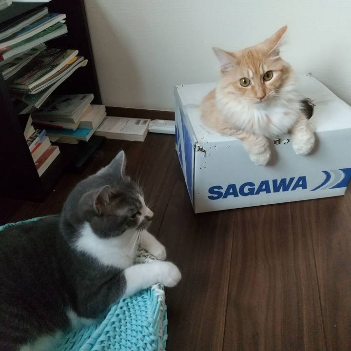 45a509b0 bc98 4750 b5eb 1b7a92a69185 1624583943842