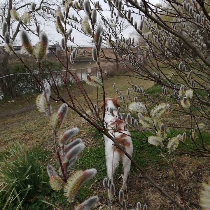 45a5780e 40b3 4633 b82d 1a575e18077c 1614325843012