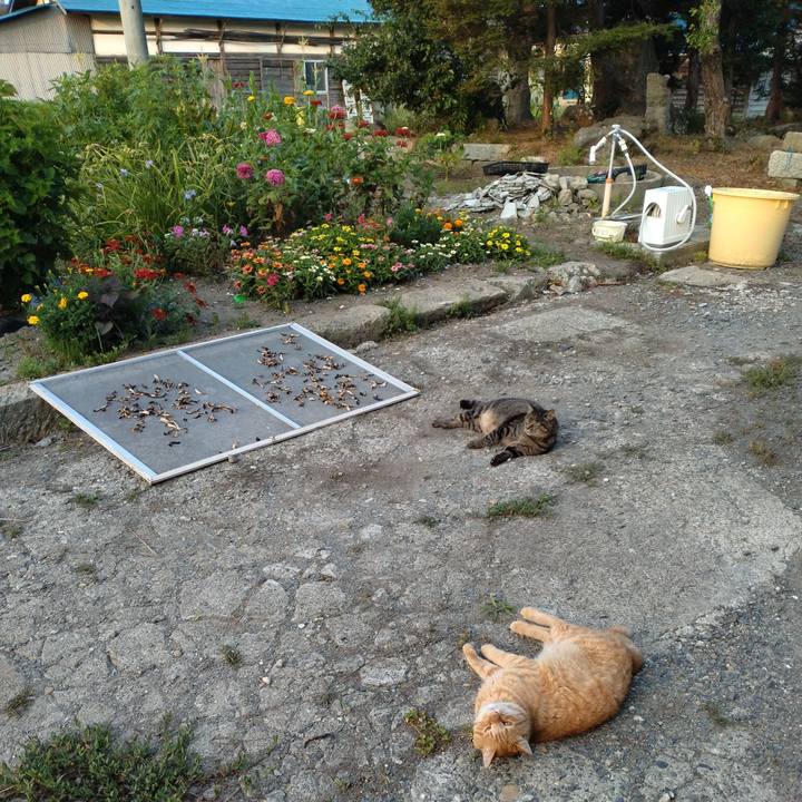 45a58199 ef1e 45e1 a7ba 05fbdc320dc1 1690668630886