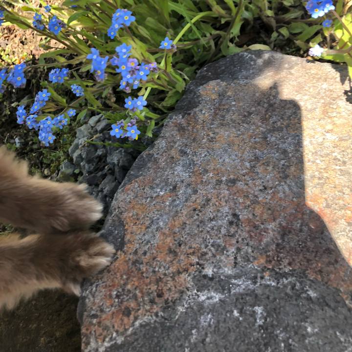 45a592f7 c303 41c4 8f84 5c0683674a6a 1589431756858