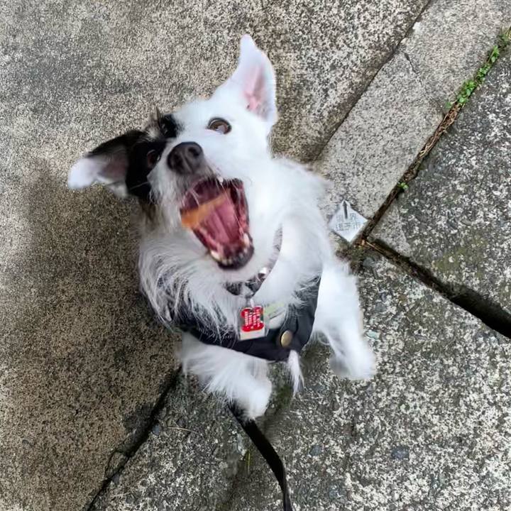 45a5930e a2a2 4192 8898 e85ef2c68f84 1705884890309