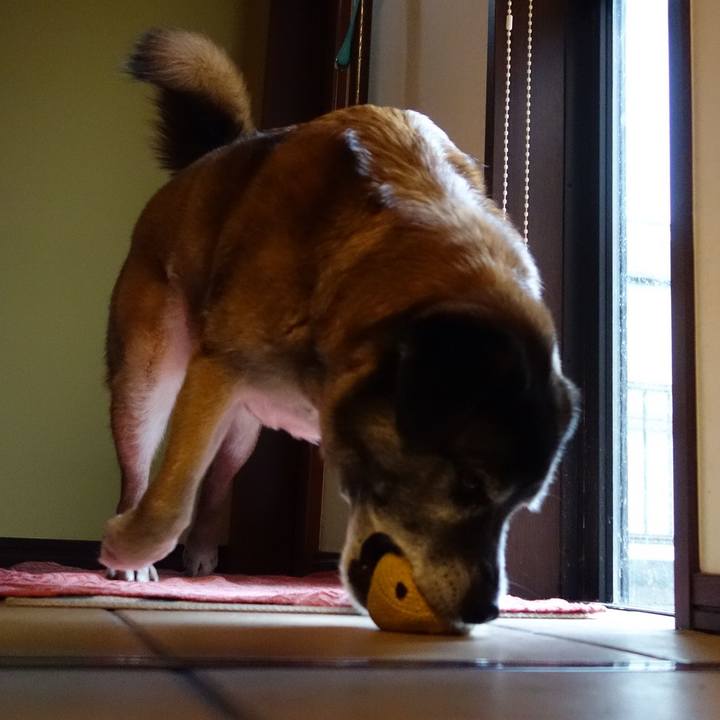 45a5a7b0 801f 4c27 b4d2 67d2f071d70a 1634258306894