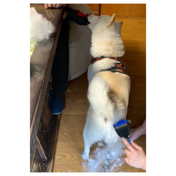 45a5c75d 85aa 42d8 9f5c b40f9d6817af 1668902637686