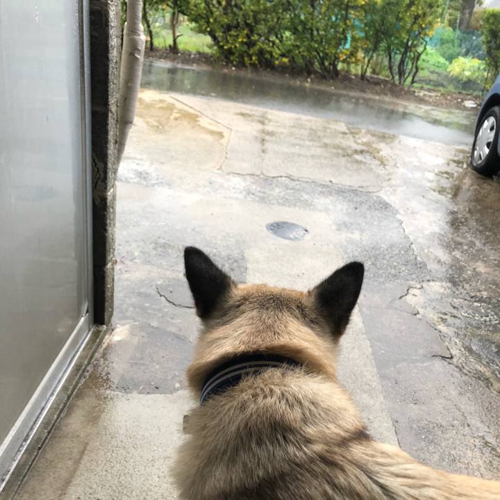 45a5cbfd 25d9 462a b597 c86c279b6e35 1603365457814